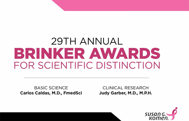Brinker Award Lectures to focus on the genetics of breast cancer